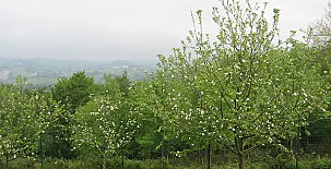 Caserío Kostegi 0021