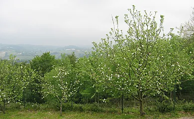 Caserío Kostegi en Urnieta (Guipuzcoa) - Foto 21