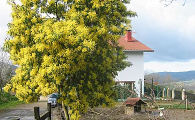 Caserío Kostegi en Urnieta (Guipuzcoa) - Foto 6