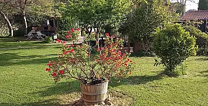 Apartamentos La Jarabiega 0011