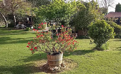 Apartamentos La Jarabiega en Ribadesella (Asturias) - Foto 8