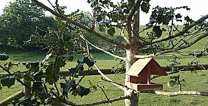 Apartamentos La Jarabiega 0018