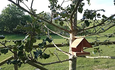 Apartamentos La Jarabiega en Ribadesella (Asturias) - Foto 16