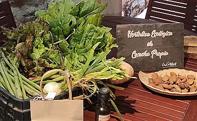 Cal Antoniet del Matarraña en Nonaspe (Zaragoza) - Foto 9