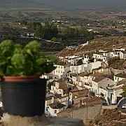 Casas Cueva El Mirador de Galera 001