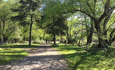 Casa Sarrau en Bellestar (Huesca) - Foto 10