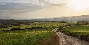 L'Arassa casa rural 0044