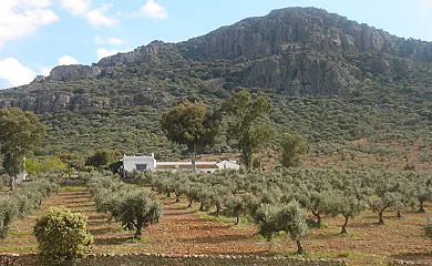Sierra de Mampar en Hornachos (Badajoz) - Foto 3
