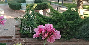 Apartamentos Calanda 007