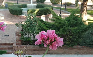 Apartamentos Calanda en Calanda (Teruel) - Foto 7