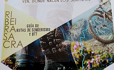 Ribeira Sacra en Ferreira de Pantón (Lugo) - Foto 3