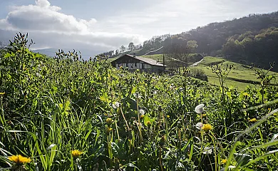 Otardi Landa Aterpetxea en Asteasu (Guipuzcoa) - Foto 2