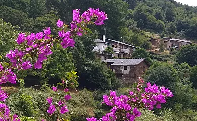 Ribeira Sacra en Ferreira de Pantón (Lugo) - Foto 1