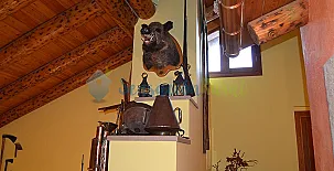 Apartamentos Condado De San Martín 0014