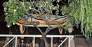 Apartamentos Condado De San Martín 0031