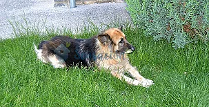 Apartamentos Condado De San Martín 0035