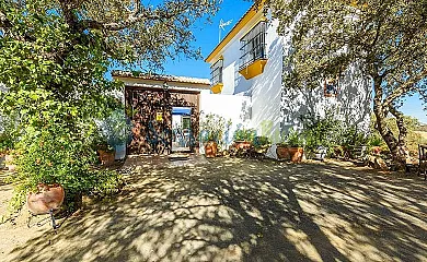 Casa Maireno en Archidona (Málaga) - Foto 9