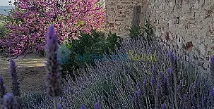 La Florida del Valle 002