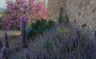 La Florida del Valle en Guadalcanal (Sevilla) - Foto 2