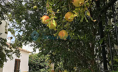 La Florida del Valle en Guadalcanal (Sevilla) - Foto 9