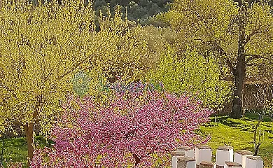 La Florida del Valle en Guadalcanal (Sevilla) - Foto 12