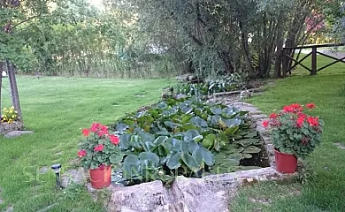 Finca El Venero en Navaluenga (Ávila) - Foto 14