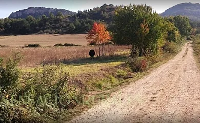 Torre de Samaniego en Barrón (Álava) - Foto 6