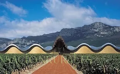 Legado de Ugarte en Laguardia (Álava) - Foto 12