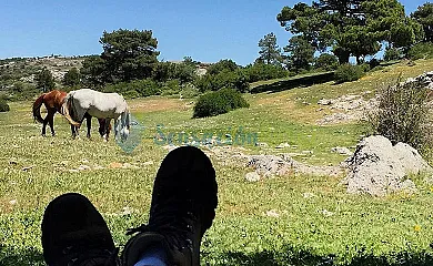 Los Ahijaderos de Tus en Yeste (Albacete) - Foto 23