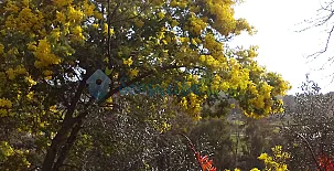 Turismo Rural El Berrocal 009