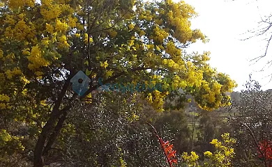 Turismo Rural El Berrocal en Cazalla de la Sierra (Sevilla) - Foto 9