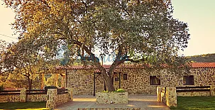 Casa Rural La Quijada del Lobo 004