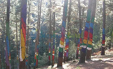 Casa Rural Ogoño Mendi (Vizcaya) en Elantxobe (Vizcaya) - Foto 14