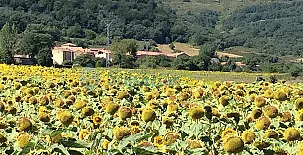 El Valle Perdido Casas Rurales 002