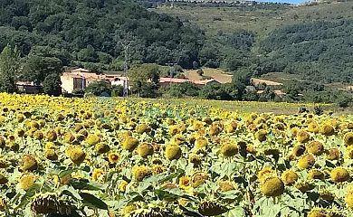 El Valle Perdido Casas Rurales en Revelillas (Cantabria) - Foto 2