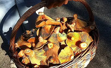 El Valle Perdido Casas Rurales en Revelillas (Cantabria) - Foto 15