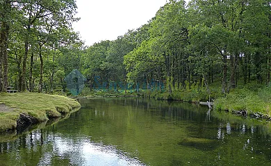 Aldea do Portomartiño en A Lama (Pontevedra) - Foto 23