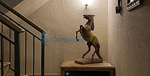 Cal Murenu Rural 005