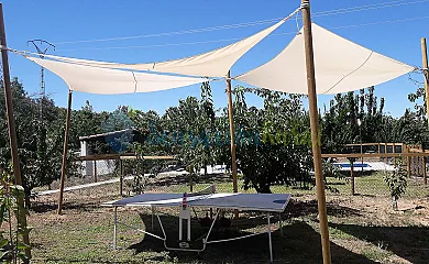 El Cerezal del Jerte en Navaconcejo (Cáceres) - Foto 6