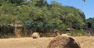 Magadins Nou y La Pallissa 0016