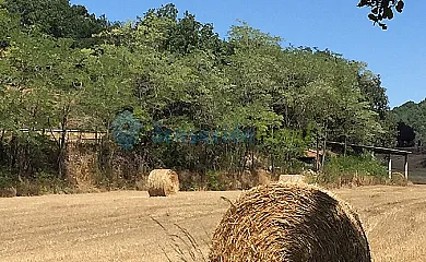 Magadins Nou y La Pallissa en Moià (Barcelona) - Foto 16