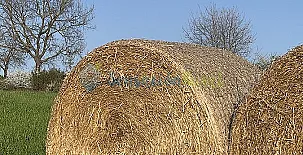 Magadins Nou y La Pallissa 0013