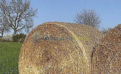 Magadins Nou y La Pallissa en Moià (Barcelona) - Foto 13