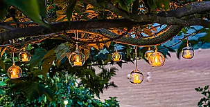 Magadins Nou y La Pallissa 0019