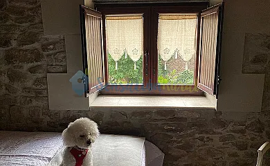 Casa Rural La Golondrina en San Martin de Hoyos (Cantabria) - Foto 3