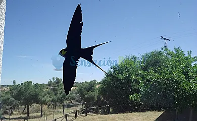 Casa Rural La Golondrina en San Martin de Hoyos (Cantabria) - Foto 14
