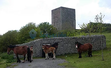 Casa Rural La Golondrina en San Martin de Hoyos (Cantabria) - Foto 25