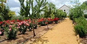 Hacienda San Jose 002