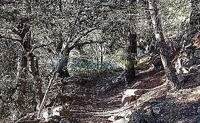 Cal Ferrer d´Herbers en Herbes (Castellón) - Foto 21