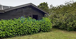 La Casita de Chocolate 0012